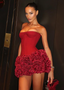 Rose | Women's Elegant Corset Mini Dress