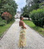 Heidi | Women's Elegant Ruffle Maxi Dress