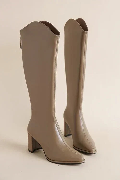 Robyn - Women's Pointed Knee High Boots with Block Heel
