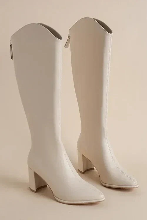 Robyn - Women's Pointed Knee High Boots with Block Heel